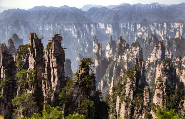 Zhangjiajie National Forest Park, Hunan, Chiny — Zdjęcie stockowe