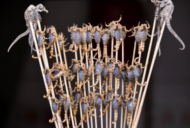 böcekler ve Çin, Beijing sokak gıda snack gibi akrepler kızarmış