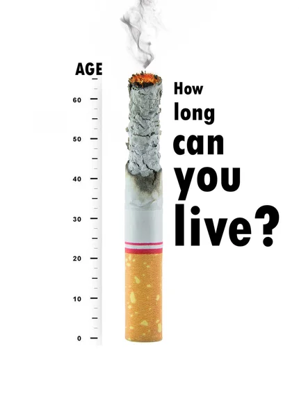Burnt down cigarette — Stock Photo, Image