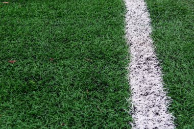 suni çim futbol arena