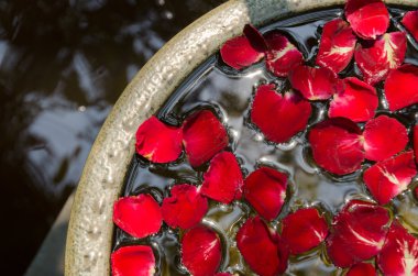 kırmızı gül yaprakları