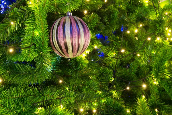 Christmas tree and decoration — Stock Photo, Image