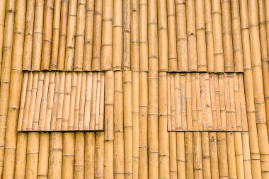 Bambu ve windows doku