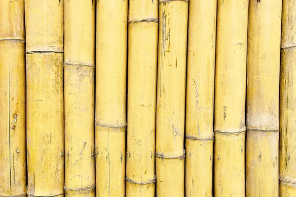 天然の竹のテクスチャ — ストック写真