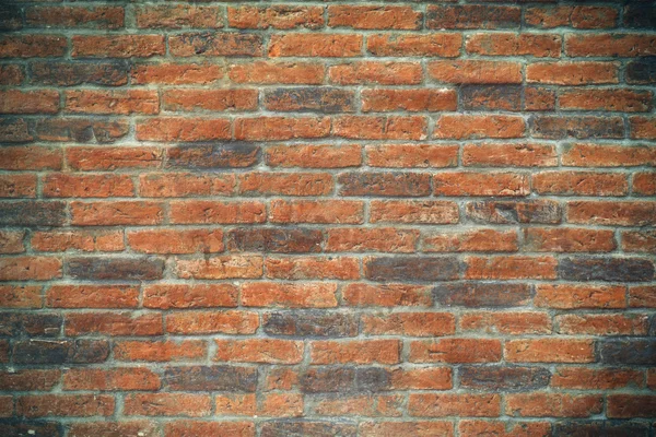 Textura de pared de ladrillo — Foto de Stock