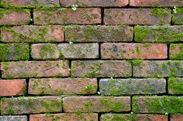 La vieja pared naranja — Foto de Stock