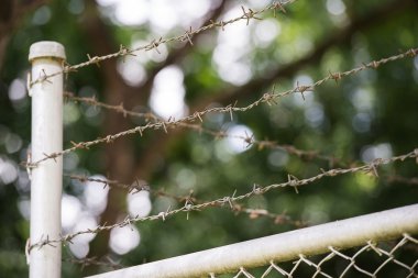 Dikenli tel doğa arasında