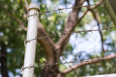 Dikenli tel doğa arasında