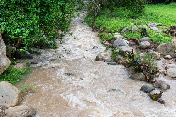 Flash Flood in een forest — Stockfoto