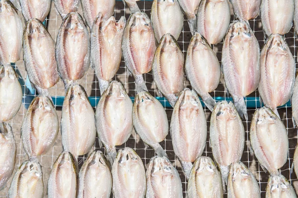 Dried fish at market — Stock Photo, Image