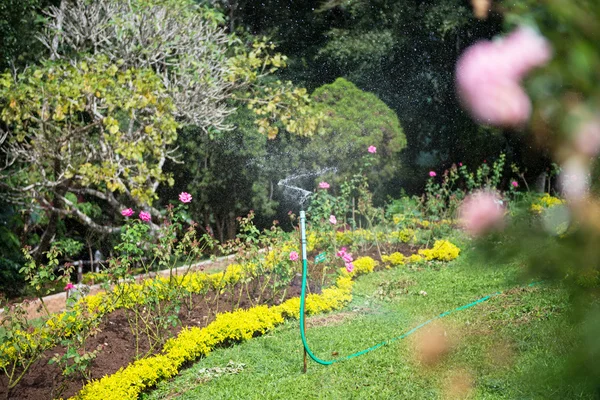 Figure shows how the field is irrigated — Stock Photo, Image