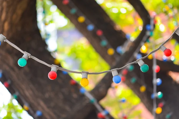 Colore lampadine di Natale — Foto Stock