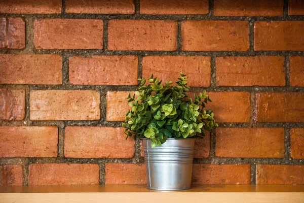 Una maceta de árbol contra pared de ladrillo naranja — Foto de Stock