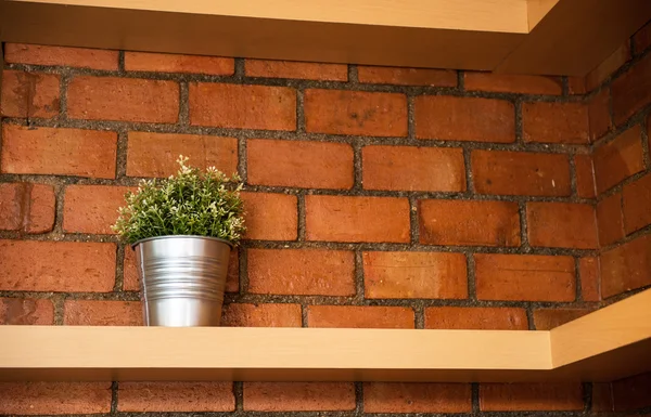 Un vaso di albero contro muro di mattoni arancione — Foto Stock