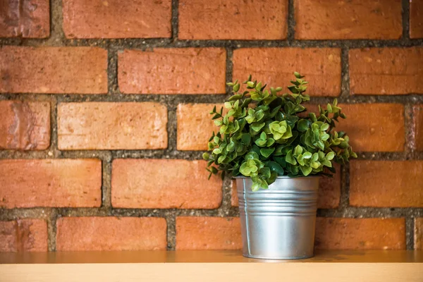 En tree pot mot orange tegelvägg — Stockfoto