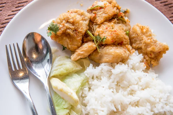 Fried fish with chili sause with rice — Stock Photo, Image