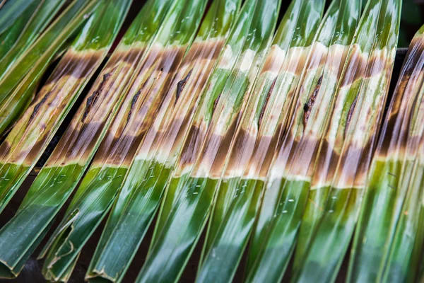 Kanom Jark, Tay sweetmeat yapılan — Stok fotoğraf