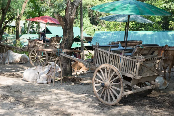 在泰国的牛车 — 图库照片