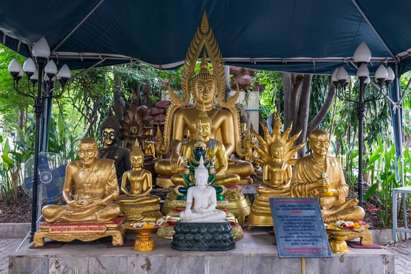 Eine Gruppe heiliger Buddhas — Stockfoto