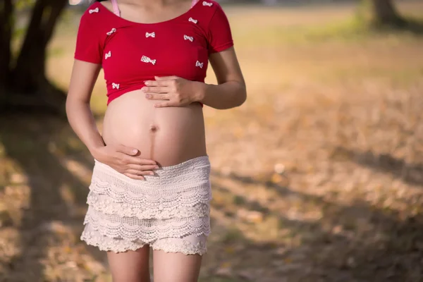 Imagen de una mujer embarazada tocándose el vientre con las manos — Foto de Stock