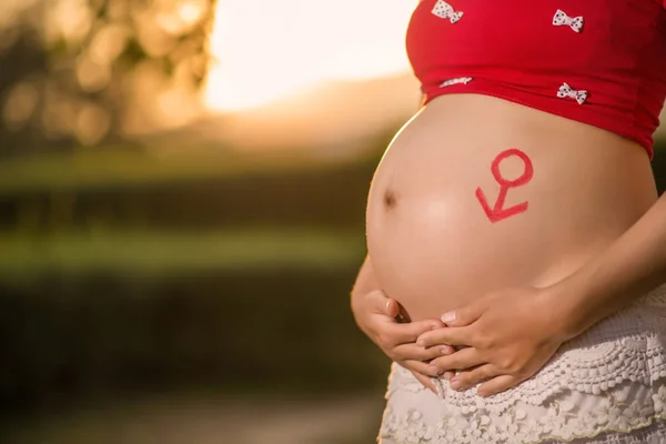 Imagen de una mujer embarazada tocándose el vientre con las manos — Foto de Stock