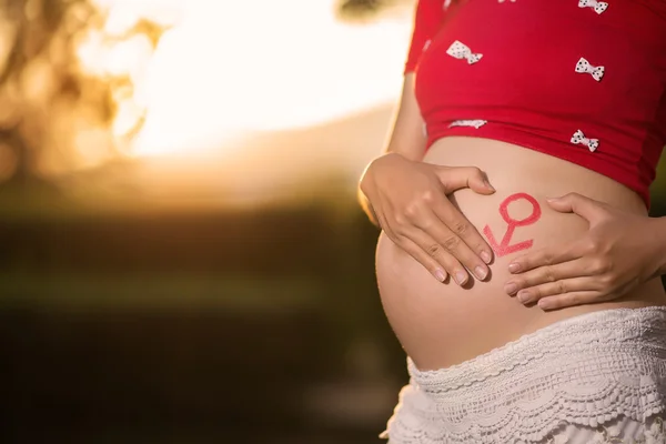 Imagen de una mujer embarazada tocándose el vientre con las manos —  Fotos de Stock