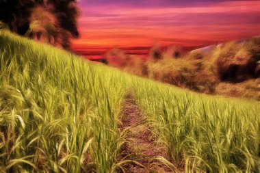 manzara, doğa ve çim