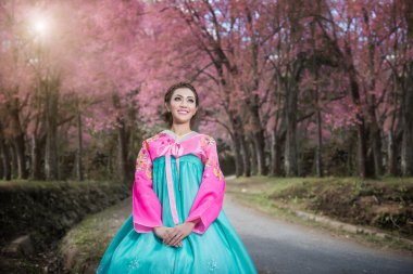 Hanbok: the traditional Korean dress and beautiful Asian girl wi