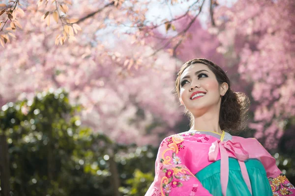 Hanbok: the traditional Korean dress and beautiful Asian girl wi — Stok fotoğraf