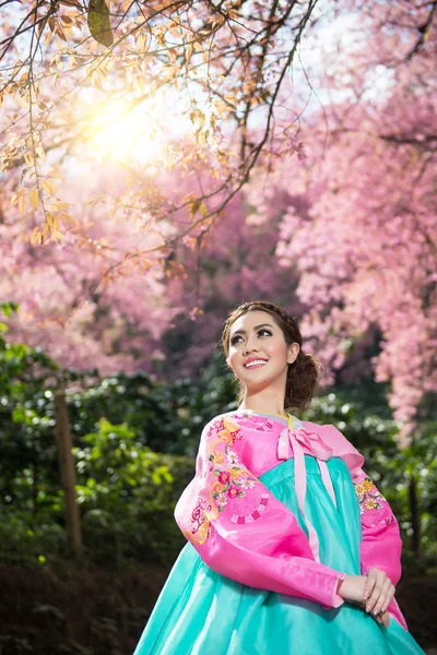 Hanbok: the traditional Korean dress and beautiful Asian girl with sakura — 스톡 사진