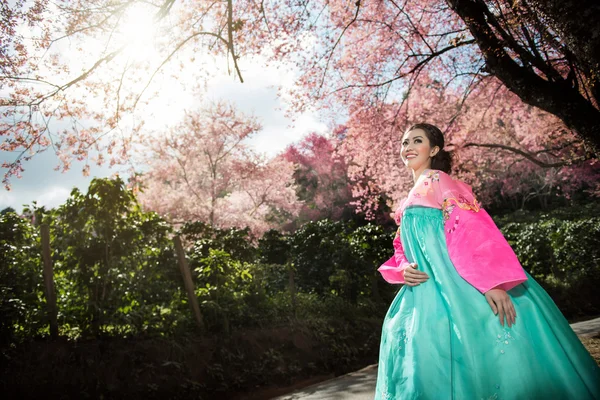 Hanbok: rochia tradițională coreeană și frumoasa fată asiatică wi — Fotografie, imagine de stoc