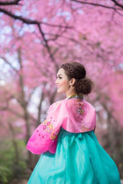 Hanbok: the traditional Korean dress and beautiful Asian girl with sakura