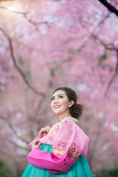 Hanbok: the traditional Korean dress and beautiful Asian girl wi — 图库照片