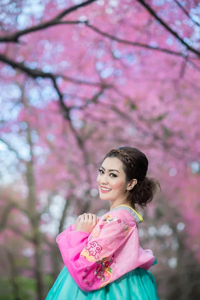 Hanbok: традиционное корейское платье и красивая азиатская девушка с сакурой — стоковое фото