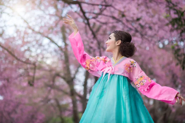 Hanbok: the traditional Korean dress and beautiful Asian girl wi — 图库照片