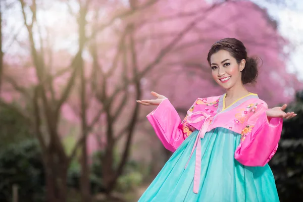 Hanbok: il tradizionale abito coreano e bella ragazza asiatica wi — Foto Stock