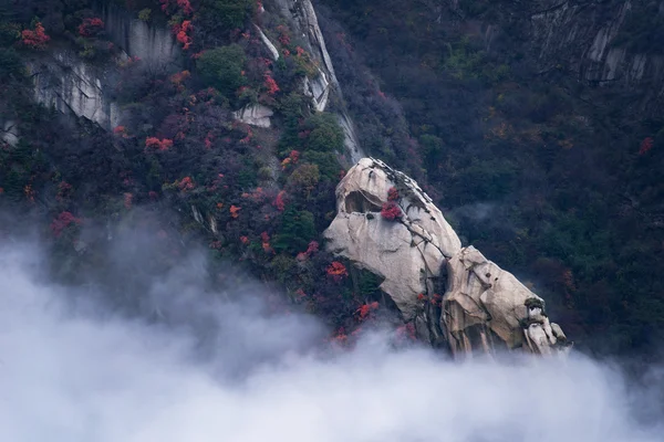 華山山。「西の山」を急峻なトレイルは、息をのむ断崖のよく知られていると呼ばれる、中国 5 つの神聖な山々 最高の狭い通路、や雄大な景色 — ストック写真