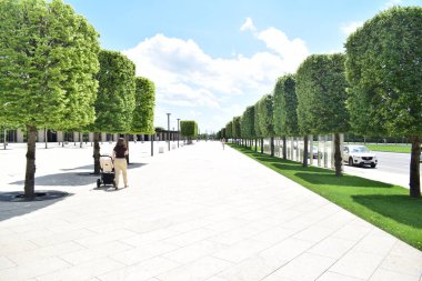 Dekoratif ağaçlarla çevrili kaldırım