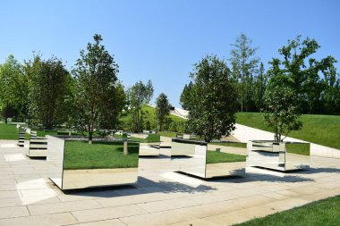 Aynalı kaplarda minyatür ağaçlar