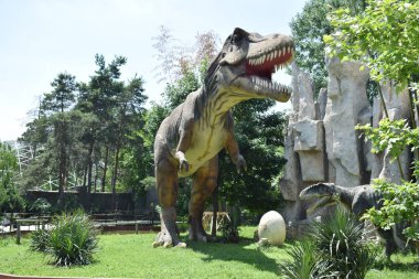 Dinozor yumurtayı korur.