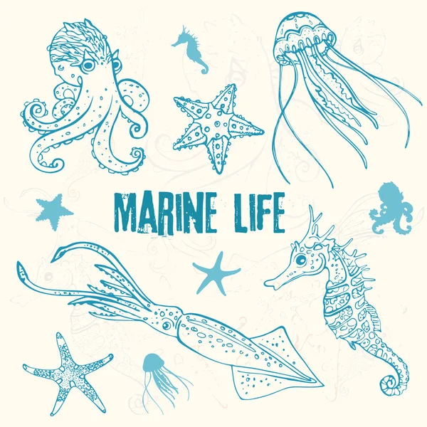 Conjunto de vida marina lineal en el estilo de boceto: pulpo, medusas, dos estrellas de mar, caballito de mar, calamar — Archivo Imágenes Vectoriales