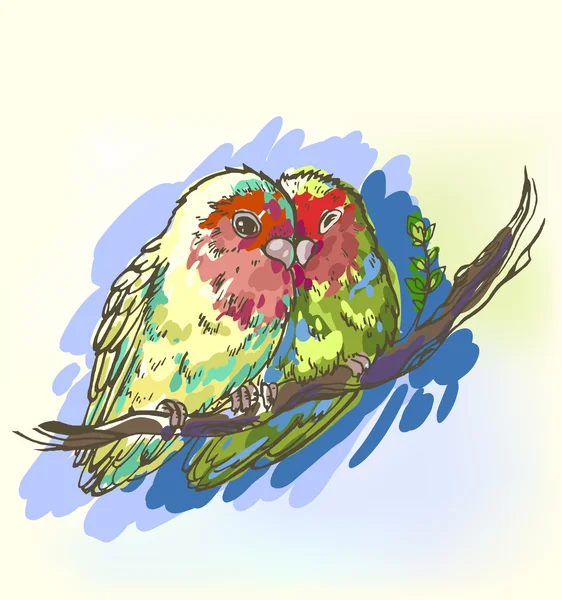 インコ イラストストックベクター ロイヤリティフリーインコ イラストイラスト Depositphotos