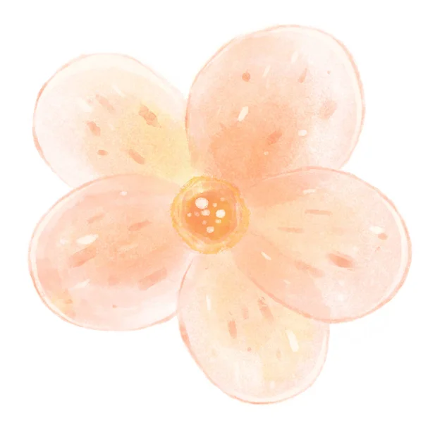 Watercolor blossoming flower bud. Delicate pink flower with translucent petals. — Stock Photo, Image