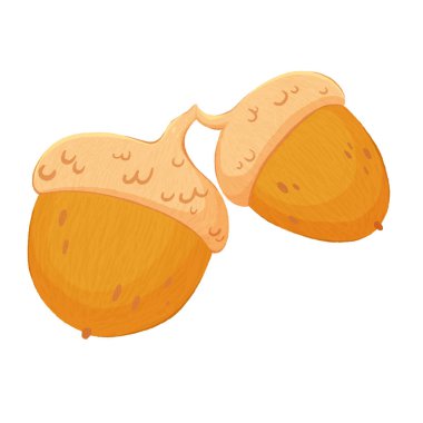 Birbirine bağlı iki olgun sarı meşe palamudu. Tasarım için renkli, desenli fındık. Beyaz arkaplanda resim, elle çizilmiş dijital grafikler