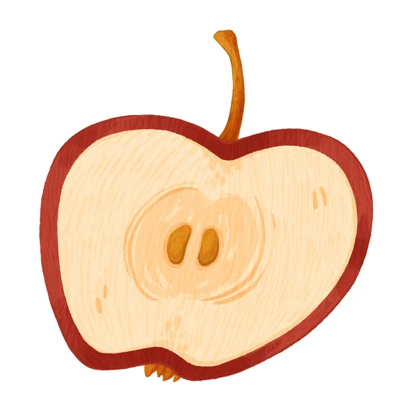半个苹果 一个红苹果 切成两半 有一根骨头和一根枝条 白色背景的说明 手工绘制的数字图像 — 图库照片