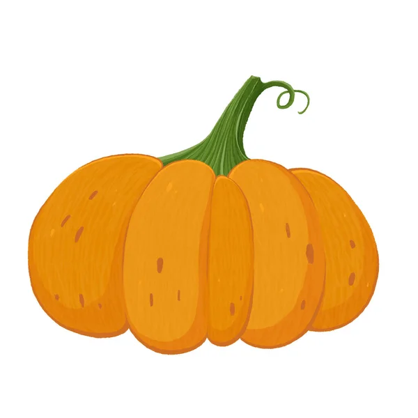 Сочная Оранжевая Тыква Цветной Текстурированный Овощ Использования Дизайне Иллюстрация Белом — стоковое фото
