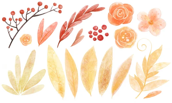 Conjunto de folhas de outono, flores, bagas vermelhas. — Fotografia de Stock