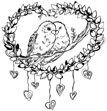 Papağan muhabbet kuşları dal