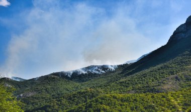 Dağ ormanlarındaki yangının fotoğrafı.