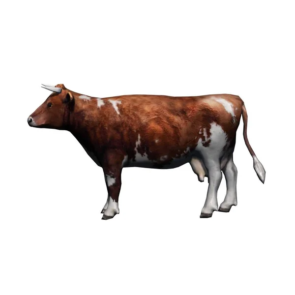 農場の動物 茶色の牛 白い背景に隔離された 3Dイラスト — ストック写真